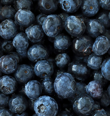 rockport espadrilles