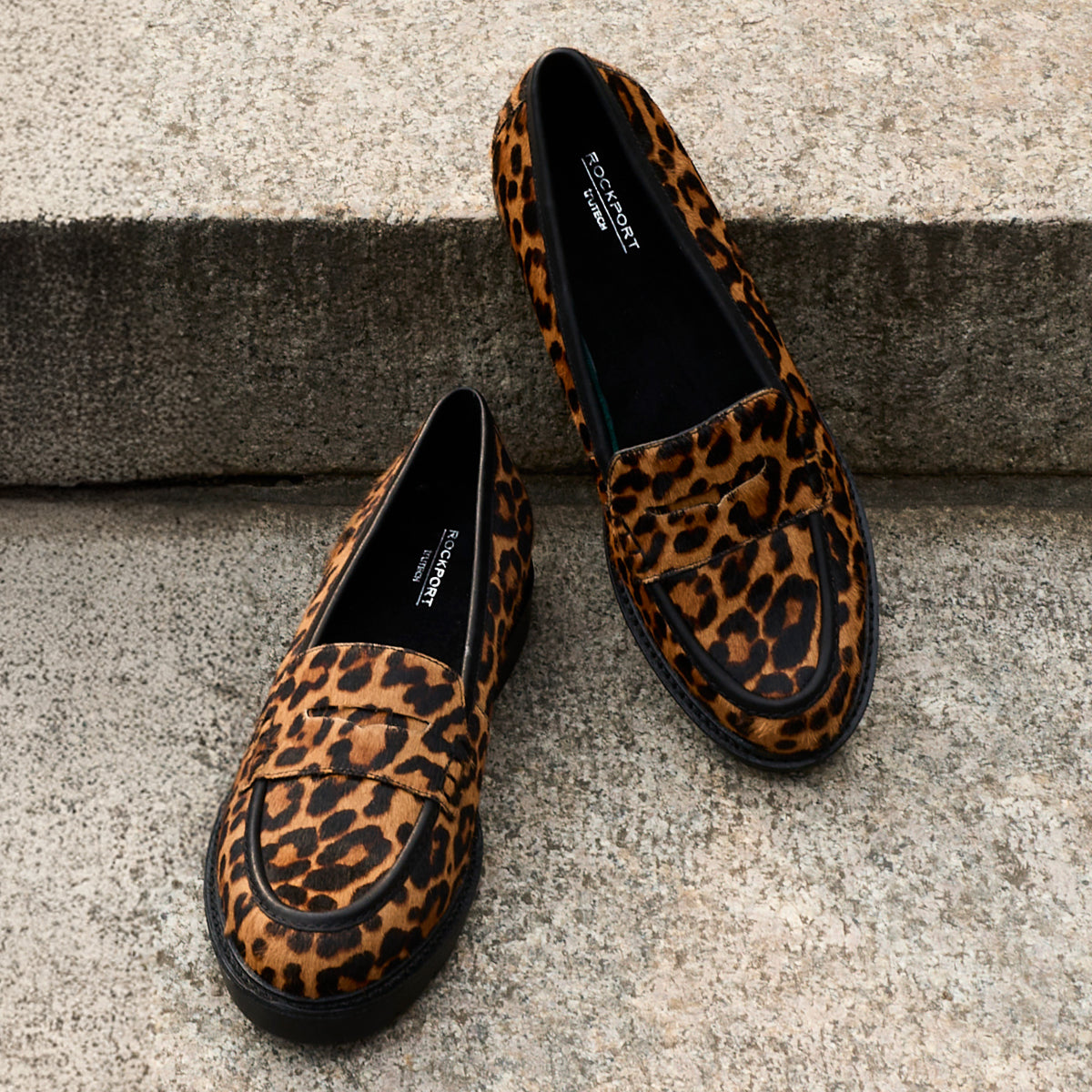 Men's Charles Road Plain Toe Oxford - Dark Brown | Rockport