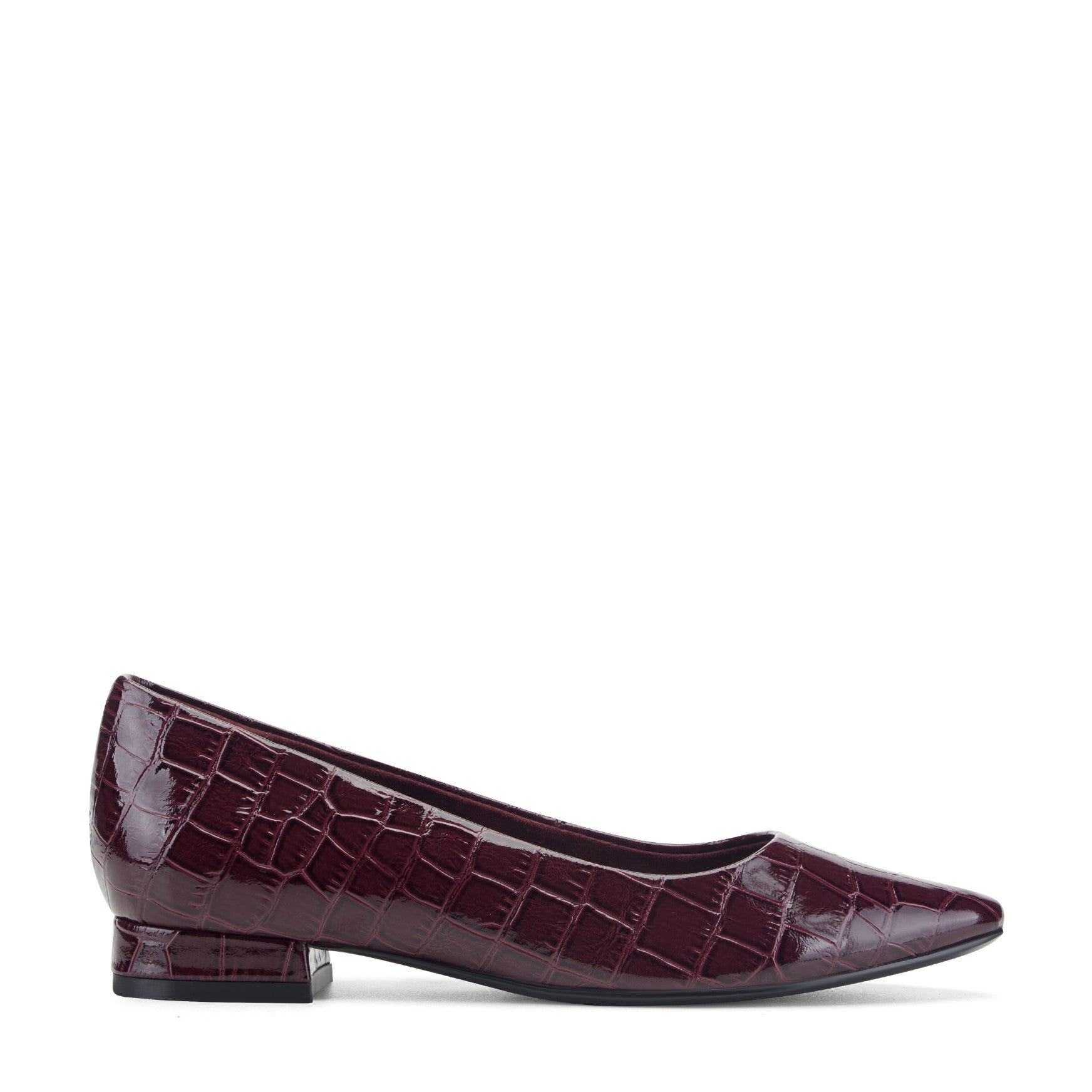 Women's Tessa Total Motion Pointy Toe Dress Flats